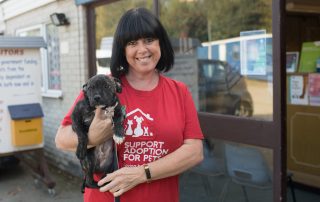 Support Adoption for Pets