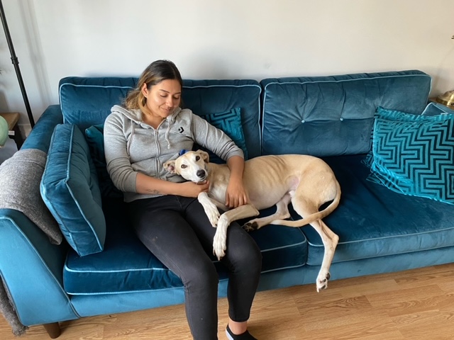Scooby, who has the canine equivalent of IBS in humans, gets a cuddle from his new owner Kiron Montford.